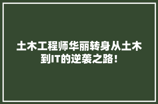 土木工程师华丽转身从土木到IT的逆袭之路！ 百度SEO