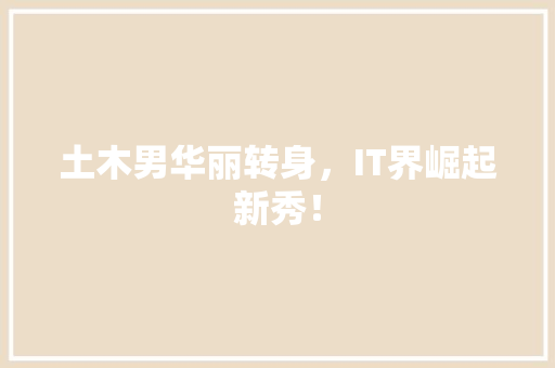 土木男华丽转身，IT界崛起新秀！ 神马SEO