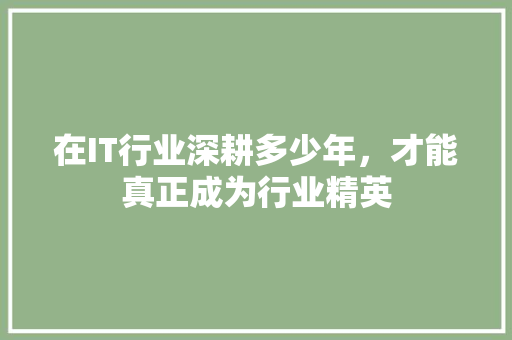 在IT行业深耕多少年，才能真正成为行业精英 必应SEO