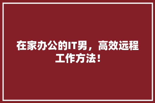 在家办公的IT男，高效远程工作方法！ 必应SEO