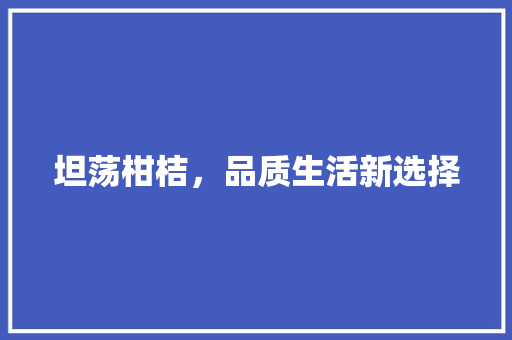 坦荡柑桔，品质生活新选择 百度SEO