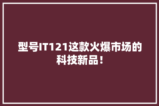 型号IT121这款火爆市场的科技新品！ GoogleSEO