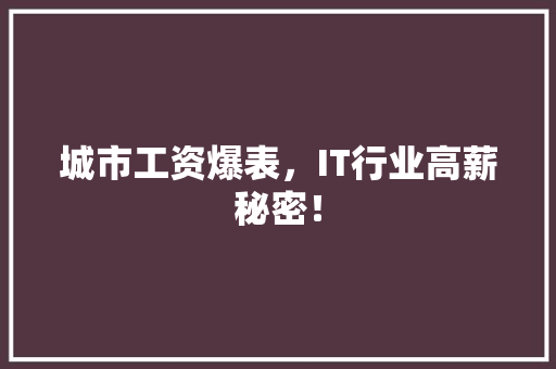 城市工资爆表，IT行业高薪秘密！ 必应SEO
