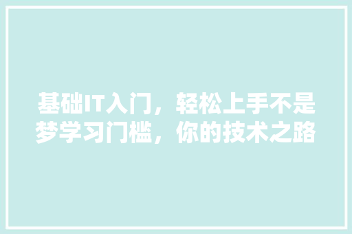 基础IT入门，轻松上手不是梦学习门槛，你的技术之路！ 百度SEO