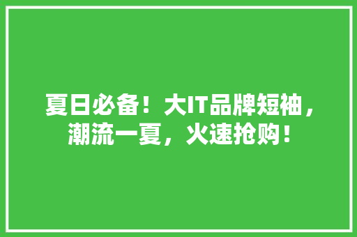 夏日必备！大IT品牌短袖，潮流一夏，火速抢购！ 必应SEO