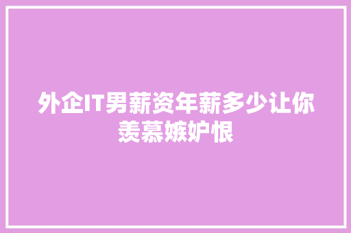 外企IT男薪资年薪多少让你羡慕嫉妒恨 GoogleSEO