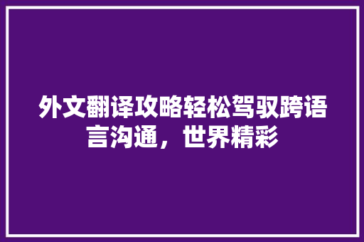 外文翻译攻略轻松驾驭跨语言沟通，世界精彩 必应SEO
