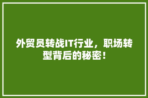 外贸员转战IT行业，职场转型背后的秘密！ 神马SEO