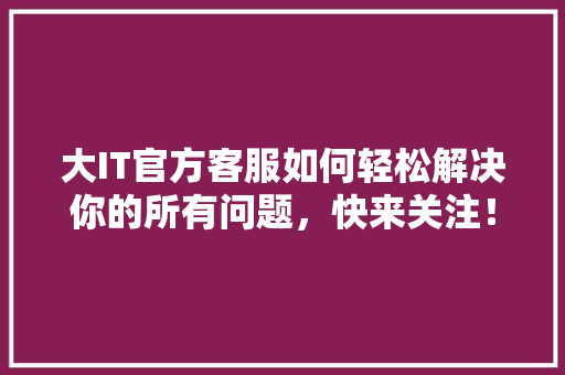 大IT官方客服如何轻松解决你的所有问题，快来关注！ 必应SEO