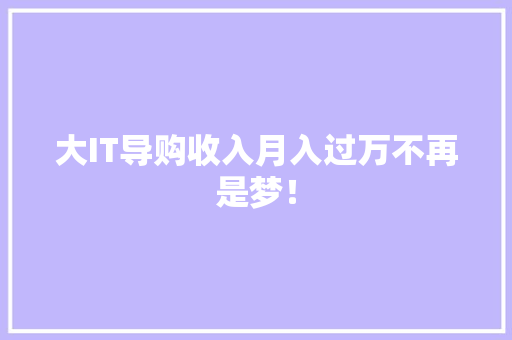 大IT导购收入月入过万不再是梦！ 必应SEO