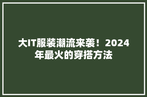 大IT服装潮流来袭！2024年最火的穿搭方法 百度SEO