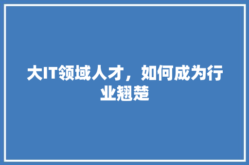 大IT领域人才，如何成为行业翘楚 百度SEO