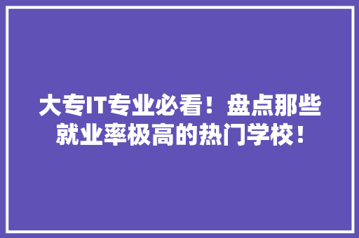 大专IT专业必看！盘点那些就业率极高的热门学校！ GoogleSEO