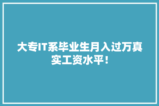 大专IT系毕业生月入过万真实工资水平！ 百度SEO
