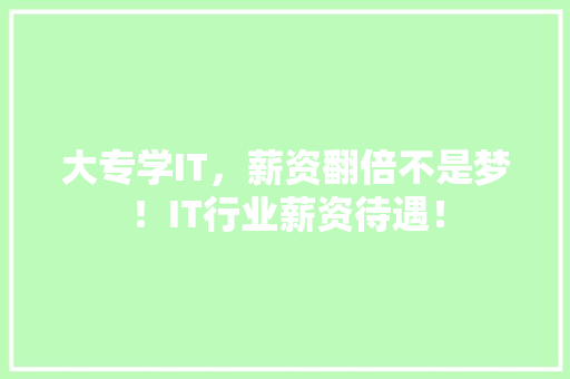 大专学IT，薪资翻倍不是梦！IT行业薪资待遇！ 必应SEO