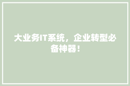 大业务IT系统，企业转型必备神器！ 百度SEO