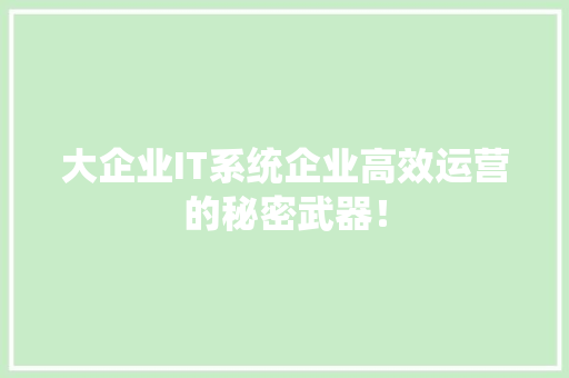 大企业IT系统企业高效运营的秘密武器！ 神马SEO