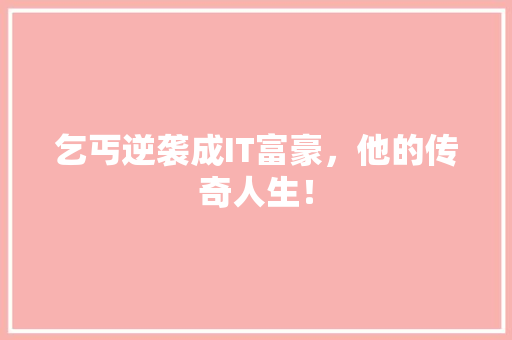乞丐逆袭成IT富豪，他的传奇人生！ GoogleSEO