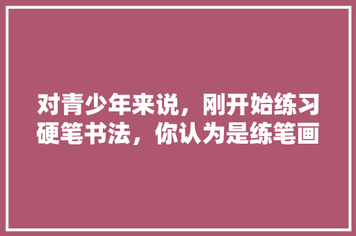 对青少年来说，刚开始练习硬笔书法，你认为是练笔画重要，还是结构重要「文章的架构为什么重要呢」 对青少年来说，刚开始练习硬笔书法，你认为是练笔画重要，还是结构重要「文章的架构为什么重要呢」 百度SEO