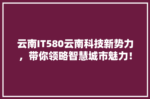 云南IT580云南科技新势力，带你领略智慧城市魅力！
