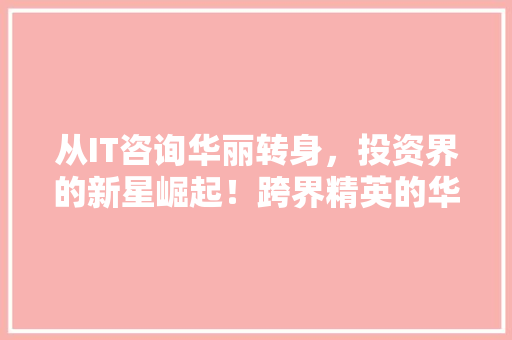 从IT咨询华丽转身，投资界的新星崛起！跨界精英的华丽蜕变！ GoogleSEO