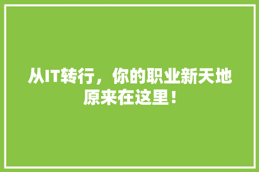 从IT转行，你的职业新天地原来在这里！ 神马SEO