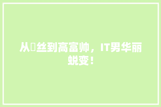 从屌丝到高富帅，IT男华丽蜕变！ 神马SEO