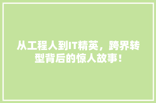 从工程人到IT精英，跨界转型背后的惊人故事！ 神马SEO