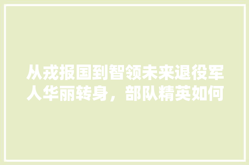 从戎报国到智领未来退役军人华丽转身，部队精英如何迈向IT巅峰 必应SEO
