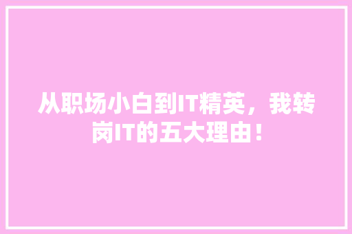 从职场小白到IT精英，我转岗IT的五大理由！ 百度SEO