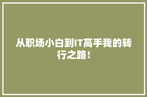 从职场小白到IT高手我的转行之路！ 必应SEO