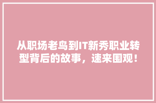 从职场老鸟到IT新秀职业转型背后的故事，速来围观！ 必应SEO