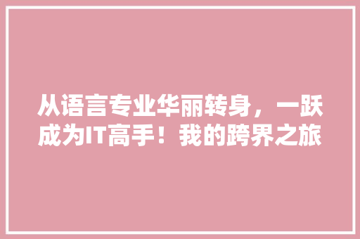从语言专业华丽转身，一跃成为IT高手！我的跨界之旅！ GoogleSEO