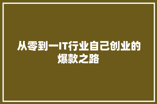 从零到一IT行业自己创业的爆款之路 百度SEO