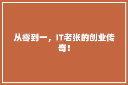 从零到一，IT老张的创业传奇！ 必应SEO