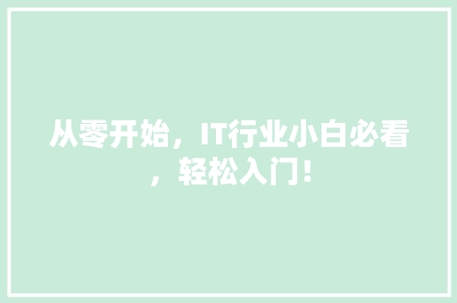 从零开始，IT行业小白必看，轻松入门！ 百度SEO