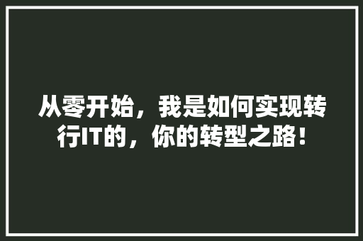 从零开始，我是如何实现转行IT的，你的转型之路！ 必应SEO