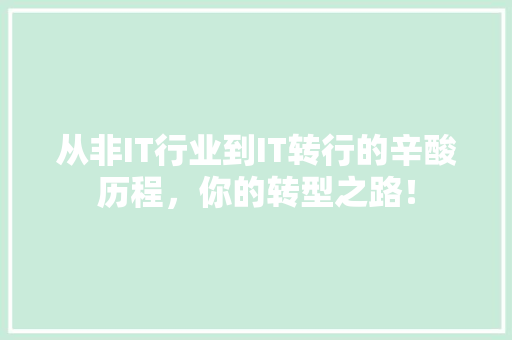 从非IT行业到IT转行的辛酸历程，你的转型之路！ 必应SEO