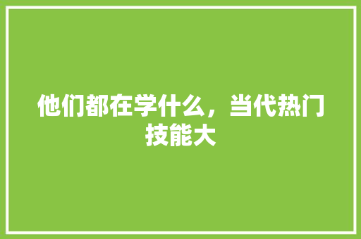 他们都在学什么，当代热门技能大 必应SEO