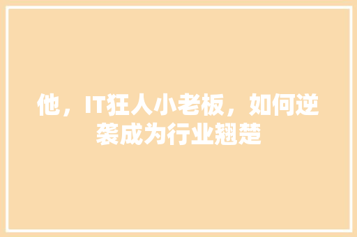 他，IT狂人小老板，如何逆袭成为行业翘楚 百度SEO