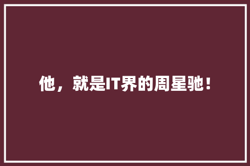 他，就是IT界的周星驰！ 百度SEO