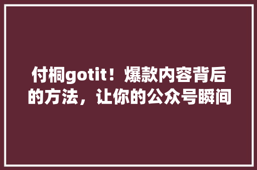 付桐gotit！爆款内容背后的方法，让你的公众号瞬间爆火！ 百度SEO