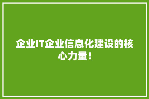 企业IT企业信息化建设的核心力量！ 搜狗SEO
