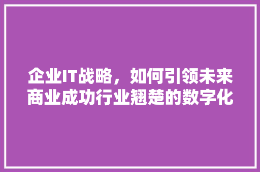 企业IT战略，如何引领未来商业成功行业翘楚的数字化转型之路 GoogleSEO