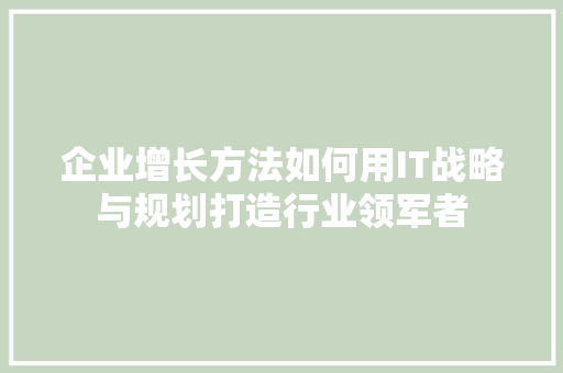企业增长方法如何用IT战略与规划打造行业领军者 搜狗SEO