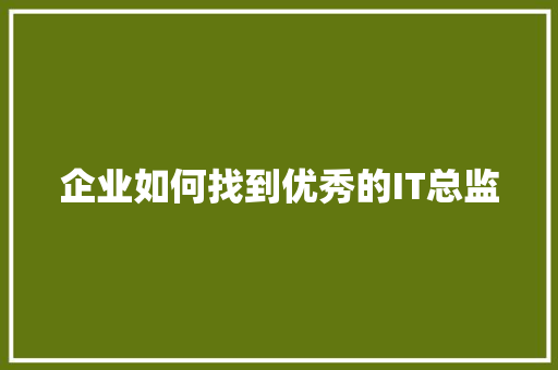 企业如何找到优秀的IT总监 神马SEO