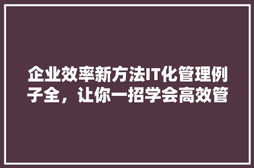 企业效率新方法IT化管理例子全，让你一招学会高效管理！ 神马SEO