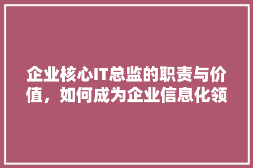 企业核心IT总监的职责与价值，如何成为企业信息化领军人物