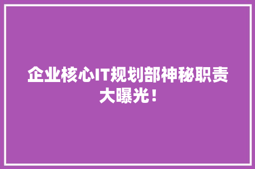 企业核心IT规划部神秘职责大曝光！ 必应SEO