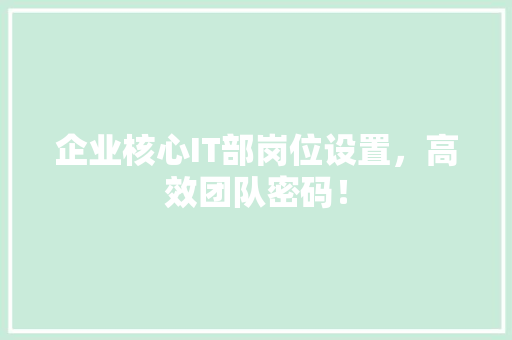 企业核心IT部岗位设置，高效团队密码！ 百度SEO